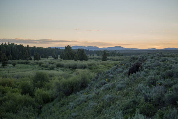 istock wyoming is a beautiful state 1369243405