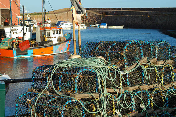 looking over lobster pots and trawlers at Dunbar harbour