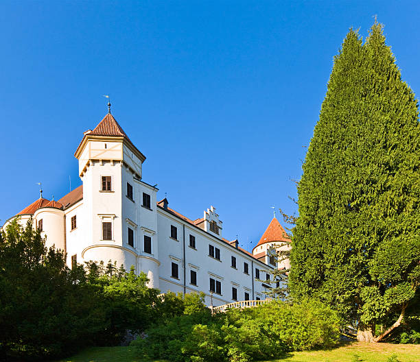 istock Konopiste Castle in Czech Republic 136924838