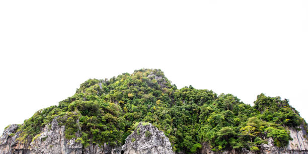 istock mountain cliff rock on white background phi phi island Thailand 1369250713