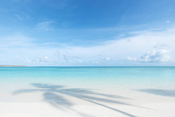 turquoise ocean sea water on a white luxury sand beach with shads from palm trees and palm leaves. Nice summer background.