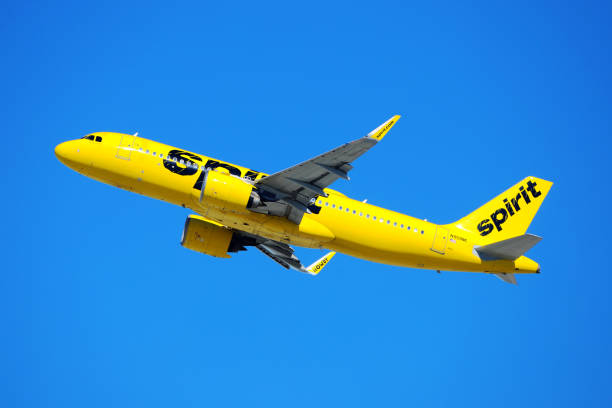 Spirit Airlines Stock Photos, Pictures & Royalty-Free Images - iStock