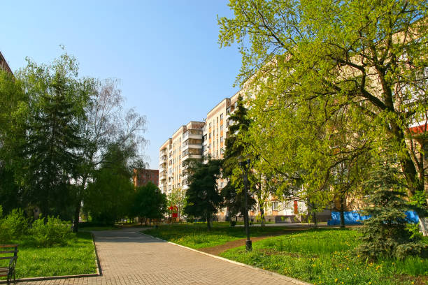 City yard in spring. Houses and alleys surrounded by young spring greenery. Cityscape on a sunny day.