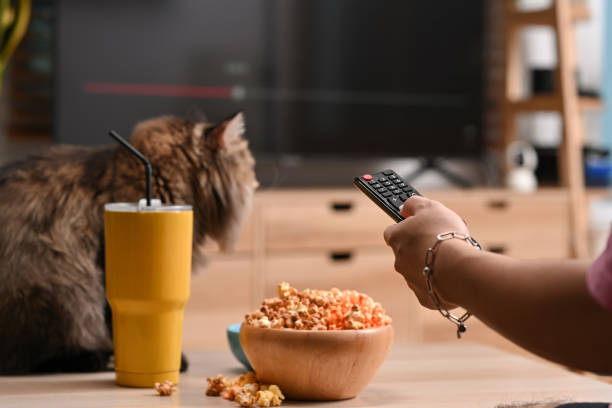 istock Man watching tv and eating popcorn  on couch at home. 1369262754