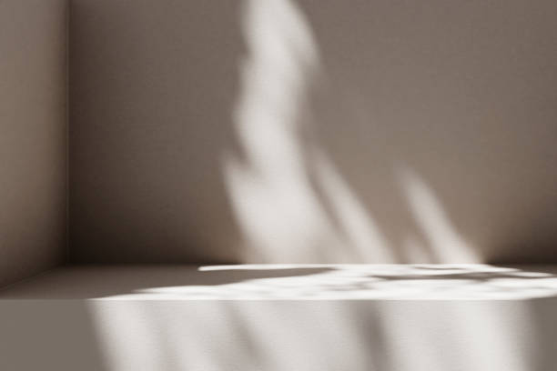 istock Neutral summer background scene with plant shadow on the concrete wall. 1369263369