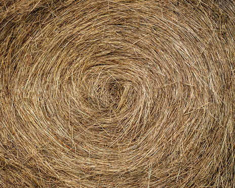 Rolled hay, stack of dry grass, mow, haystack