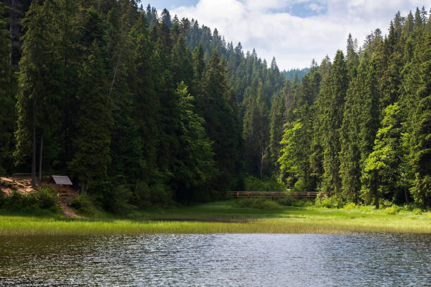 istock landscape with calm lake in summer 1369267789