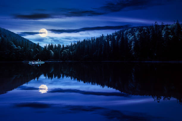 landscape with calm lake in summer at night. tranquil nature with forest reflection in the water. beautiful travel background of synevyr, ukraine. green outdoor environment in full moon light