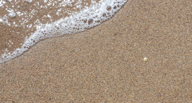 istock abstract sand of beach and soft wave background 1369269635