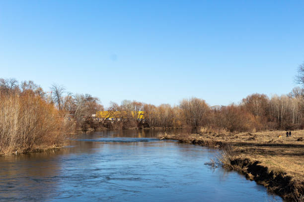 istock Landscape on the river and empty bl;ue sky 1369273231