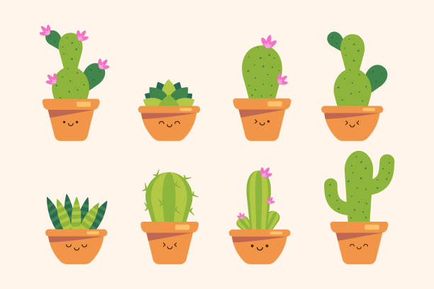 Cute, bright succulent or cactus, cacti plants with happy kawaii face vector illustration set. Decorative colored houseplant elements collection isolated. vector art illustration