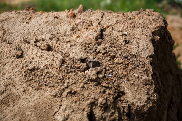 istock Soil texture. A layer of the earth deep into the close-up. Construction sand. Copy space. Rocky ground background. Soil fertility type. The concept of archaeological excavations. Rough surface 1369280261