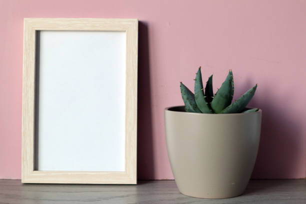 istock Mock up white frame with grey flower pot with succulent on pink background. 1369281878