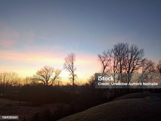 Photograph Of Blue And Pink Pastel Sky At Sunrise Over Trees In Winter Stock Photo - Download Image Now