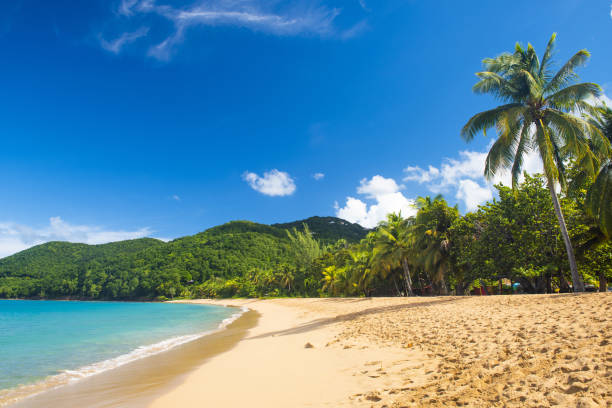istock Grand Anse Beach in Guadeloupe 1369284171