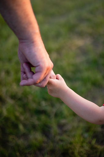 Mother, kid and holding hands for walking in park for support, trust and care together or bonding in nature. Love, comfort and parent help child in the morning sunshine with kindness on weekend