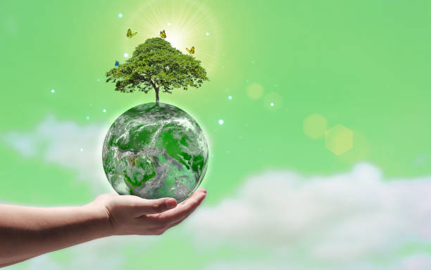 istock Hand holding a green world with growing trees 1369288289