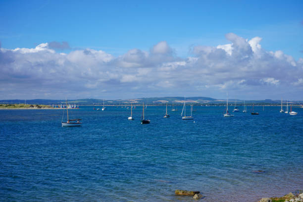 istock Small boats floating in a ocean harbour 1369288785