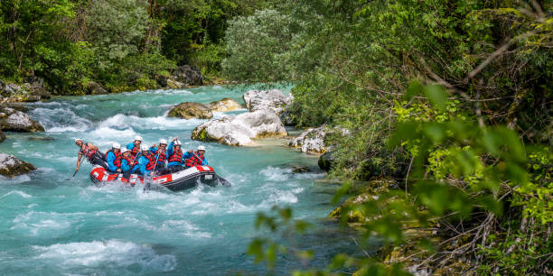 People enjoying sunny day by adrenaline water activity, riding down wild rapids on raft People enjoying sunny day by adrenaline water activity. Riding down wild rapids on raft. Rafting in wild mountain Soca river, Slovenia. primorska white sport nature stock pictures, royalty-free photos & images