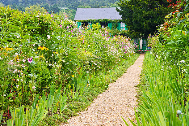 Gravel path leads through a garden of sunflowers to a rustic French house