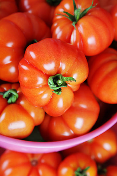 tomaten harvest - tomato beefsteak tomato heirloom tomato pink stock-fotos und bilder