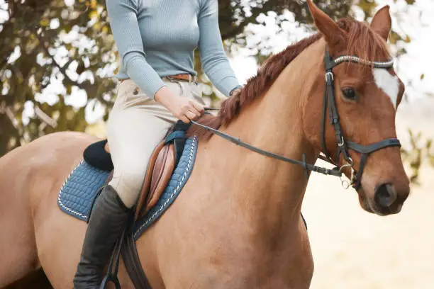 Photo of Shot of a unrecognizable female riding a horse in a forest