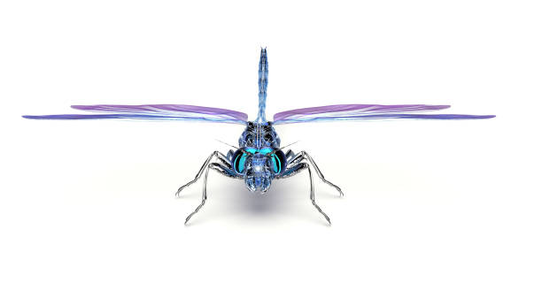 3D concept of flying robot, dragonfly drone 3D concept of flying robot, dragonfly drone, 3D illustration dragonfly photos stock pictures, royalty-free photos & images