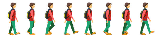 Character walk cycle animation, frame by frame 2d animation, college Illustration Character walk cycle animation, frame by frame 2d animation, walking animation stock illustrations