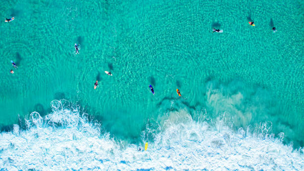 istock People surfing on clear sea 1369298301