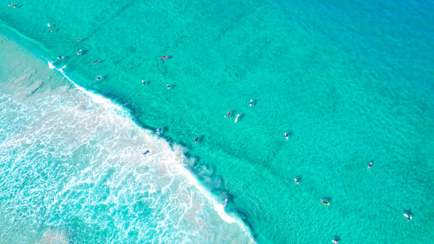 istock People surfing on clear sea 1369298344