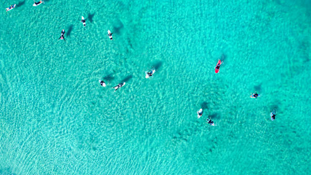 istock People surfing on clear sea 1369298359