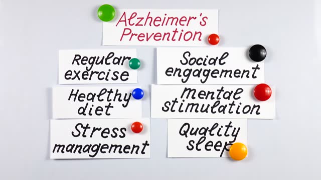 Presentation about different ways of a prevention Alzheimer's disease on a white magnetic board