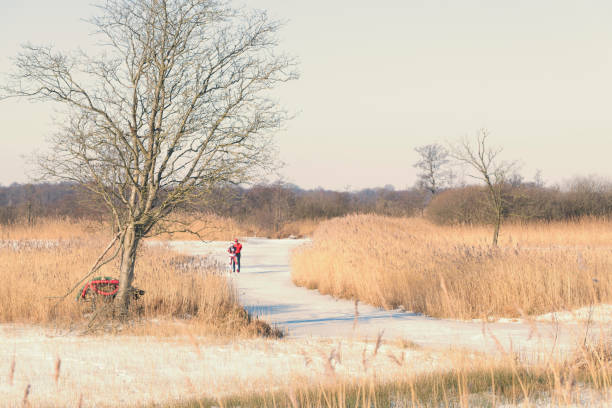 gente patinando sobre hielo en el weerribben wieden durante un hermoso día de invierno - wieden weerribben fotografías e imágenes de stock