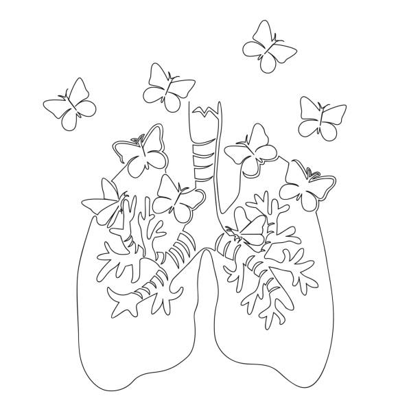 Ease of breathing in the lungs. Line art Ease of breathing in the lungs. Drawn in one line. Isolated stock vector illustration simple butterfly outline pictures stock illustrations