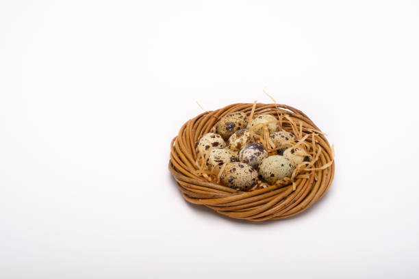 Happy Easter. Wicker basket with Easter quail eggs, space for text