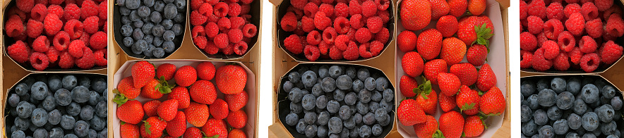 Assorted berries .berry banner with copy space.berry box.Strawberries, raspberries, blueberries.Summer berry harvest.