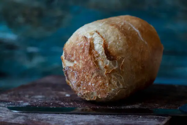 artisan bread: cylinder loaf with soymilk flavor