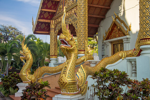 Thailand - Chiang Mai - The gilded naga (serpent) gate and sumptuous lai-krahm (gold-pattern stencilling) of wat phra singh buddhist temple