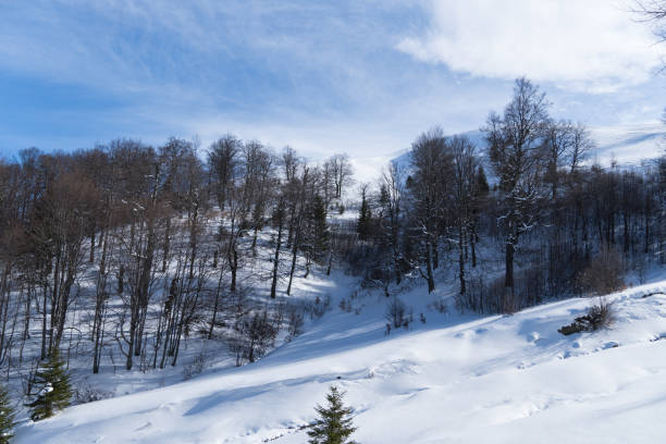 istock Cazacu Valley, Baiului Mountains 1369312541