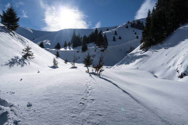 istock Cazacu Valley, Baiului Mountains 1369312704