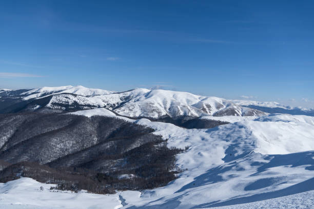 istock Cazacu Peak, Baiului Mountains, Romania 1369313053