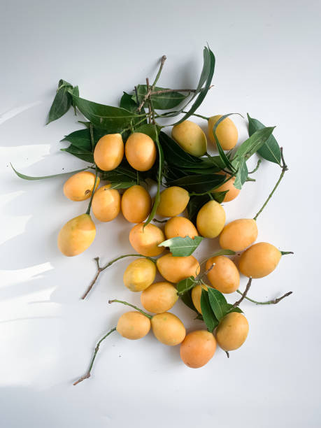 istock Plum mango, a popular tropical fruit in Southeast Asia 1369314775