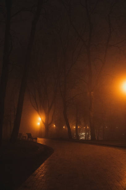 istock Evening in cozy Mariinskyi park, Kyiv 1369315916