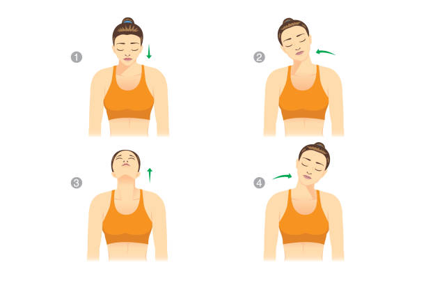 kobieta wykonująca neck rolls, aby rozciągnąć mięśnie szyi przed treningiem. ilustracja o rozgrzewce. - head and shoulders stock illustrations