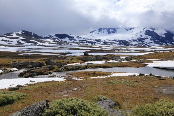 istock Sognefjellet in Norway 1369323782