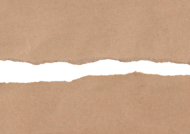 istock Brown ripped paper background 1369323942