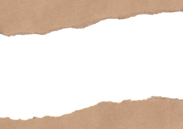 istock Brown ripped paper background 1369323944