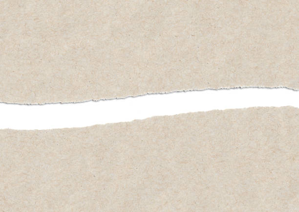 istock Brown ripped paper background 1369324520