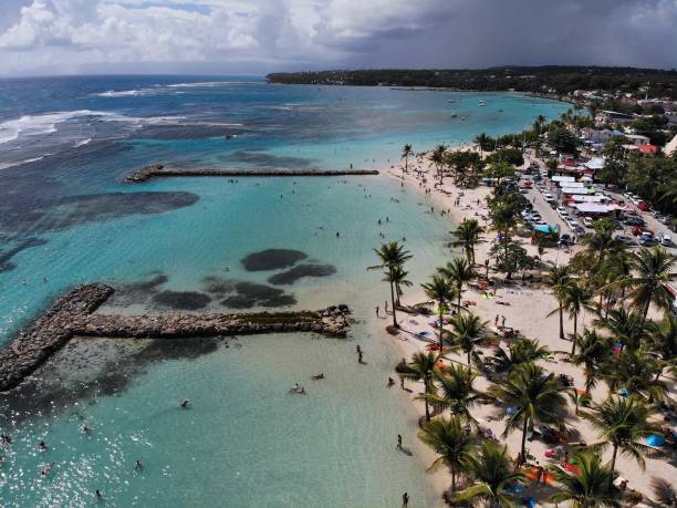 istock Guadeloupe beach - Sainte Anne Beach 1369324531