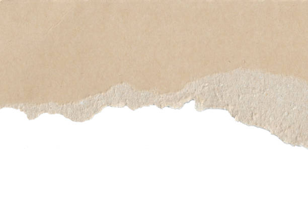 istock Brown ripped paper background 1369324547